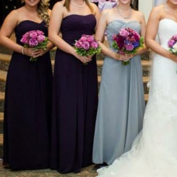 bill levkoff plum